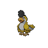 Dark Squawkabilly (Yellow)